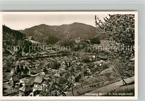AK / Ansichtskarte Hornberg_Schwarzwald Panorama Hornberg Schwarzwald
