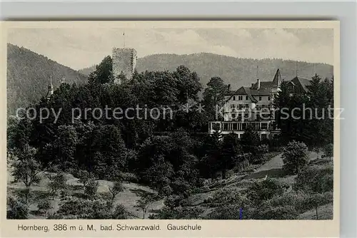AK / Ansichtskarte Hornberg_Schwarzwald Gauschule Hornberg Schwarzwald