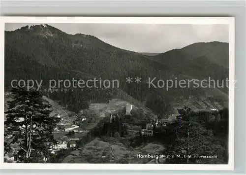 AK / Ansichtskarte Hornberg_Schwarzwald Panorama Hornberg Schwarzwald