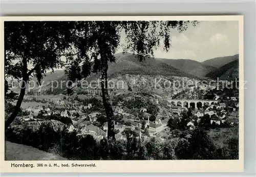 AK / Ansichtskarte Hornberg_Schwarzwald Eisenbahn Viadukt Hornberg Schwarzwald