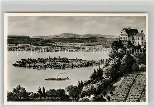 AK / Ansichtskarte Insel_Reichenau_Bodensee Panorama mit Schloss Salenstein 