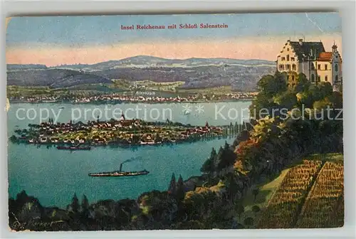 AK / Ansichtskarte Insel_Reichenau_Bodensee Panorama mit Schloss Salenstein 
