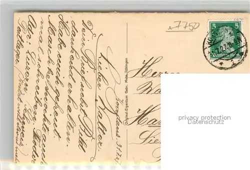 AK / Ansichtskarte Insel_Mainau Totalansicht Insel Mainau