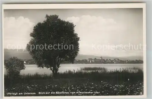 AK / Ansichtskarte Allensbach_Bodensee Uferidyll am Untersee mit Blick auf die Reichenau Allensbach_Bodensee