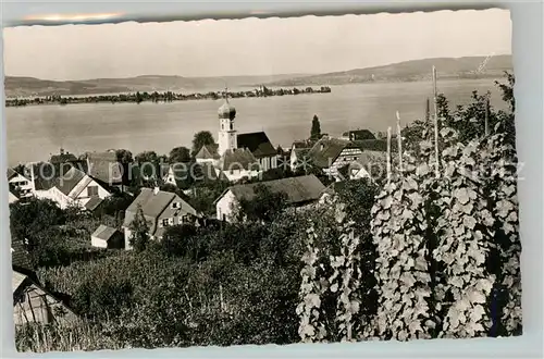 AK / Ansichtskarte Allensbach_Bodensee mit Blick auf Insel Reichenau Allensbach_Bodensee