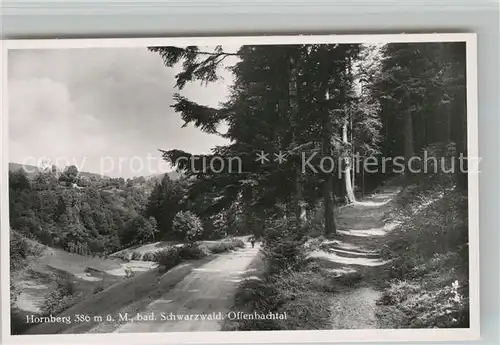 AK / Ansichtskarte Hornberg_Schwarzwald Offenbachtal Hornberg Schwarzwald