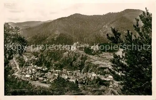 AK / Ansichtskarte Hornberg_Schwarzwald Panorama Schlosshotel Gauschule Hornberg Schwarzwald