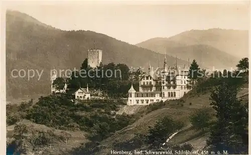 AK / Ansichtskarte Hornberg_Schwarzwald Schlosshotel Hornberg Schwarzwald