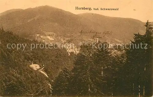 AK / Ansichtskarte Hornberg_Schwarzwald Panorama Hornberg Schwarzwald