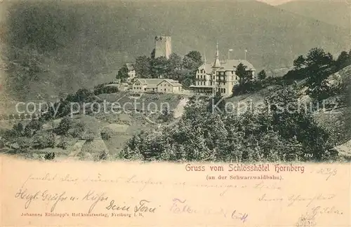 AK / Ansichtskarte Hornberg_Schwarzwald Schlosshotel an der Schwarzwaldbahn Hornberg Schwarzwald