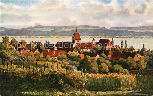 AK / Ansichtskarte Mittelzell Ortsansicht mit Kirche Marschall Kuenstlerkarte Mittelzell