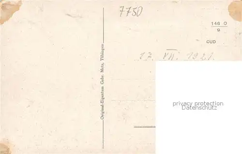 AK / Ansichtskarte Insel_Mainau aus der Vogelperspektive Kuenstlerkarte Insel Mainau