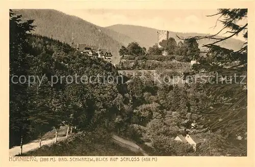 AK / Ansichtskarte Hornberg_Schwarzwald Panorama Blick aufs Schloss Hornberg Schwarzwald