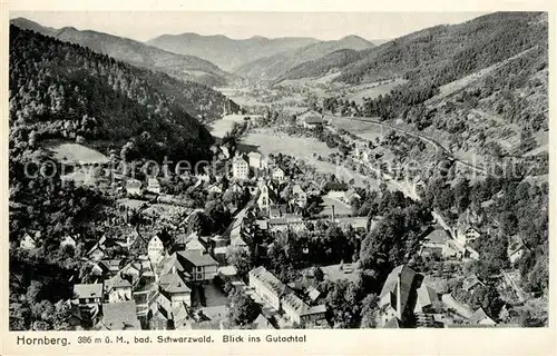 AK / Ansichtskarte Hornberg_Schwarzwald Panorama Blick ins Gutachtal Hornberg Schwarzwald