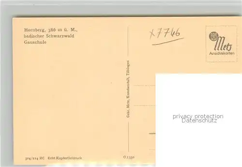 AK / Ansichtskarte Hornberg_Schwarzwald Gauschule Burgruine Schloss Kupfertiefdruck Hornberg Schwarzwald