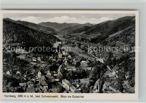 AK / Ansichtskarte Hornberg_Schwarzwald Panorama Blick ins Gutachtal Hornberg Schwarzwald