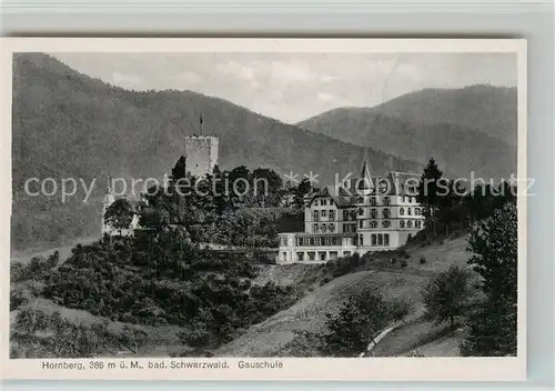 AK / Ansichtskarte Hornberg_Schwarzwald Gauschule Burgruine Schloss Hornberg Schwarzwald