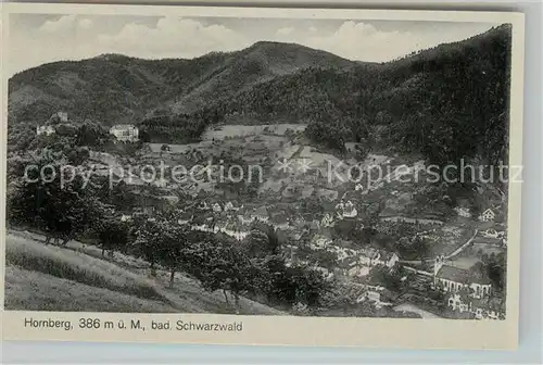 AK / Ansichtskarte Hornberg_Schwarzwald Panorama Hornberg Schwarzwald