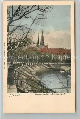 AK / Ansichtskarte Konstanz_Bodensee Schwanenteich mit Blick zum Muenster Konstanz_Bodensee