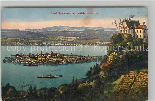 AK / Ansichtskarte Salenstein_TG Schloss mit Blick auf Insel Reichenau Kuenstlerkarte Salenstein_TG