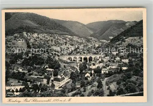 AK / Ansichtskarte Hornberg_Schwarzwald Panorama Viadukt Hornberg Schwarzwald