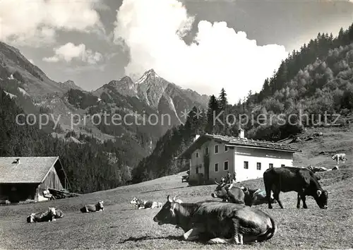 AK / Ansichtskarte Brandberg_Tirol Brandberg Kolm  Brandberg Tirol