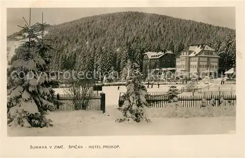 AK / Ansichtskarte Sumava_Boehmen Spicak Hotel Prokop Sumava Boehmen