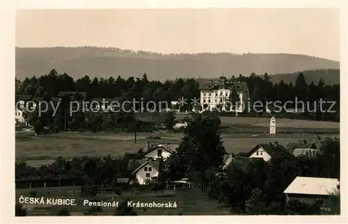 AK / Ansichtskarte Ceska_Kubice Pensionat Krasnohorska Ceska Kubice