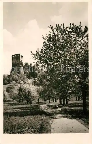 AK / Ansichtskarte Muenchengraetz_Tschechien Burgruine Waletschow Muenchengraetz Tschechien