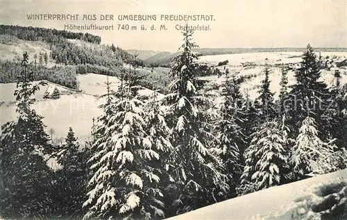 AK / Ansichtskarte Freudenstadt Winterpanorama Freudenstadt