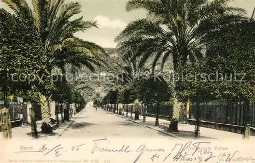 AK / Ansichtskarte Nervi Viale delle Palme Nervi