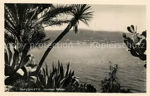 AK / Ansichtskarte Ospedaletti Giardino Winter Ospedaletti