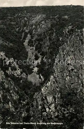 AK / Ansichtskarte Thale_Harz Die Schurre Aufstieg zur Rosstrappe Thale_Harz