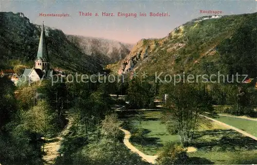 AK / Ansichtskarte Thale_Harz Hexentanzplatz Eingang ins Bodetal Rosstrappe Thale_Harz