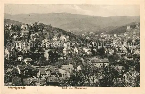 AK / Ansichtskarte Wernigerode_Harz Panorama Blick vom Blumenweg mit Brocken Wernigerode Harz