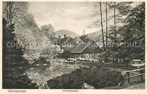 AK / Ansichtskarte Wernigerode_Harz Waldgasthaus Christianental Teich Wernigerode Harz