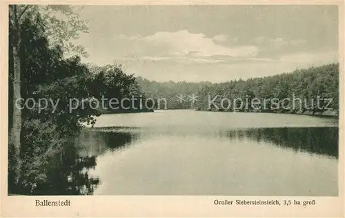AK / Ansichtskarte Ballenstedt Grosser Siebersteinsteich Ballenstedt