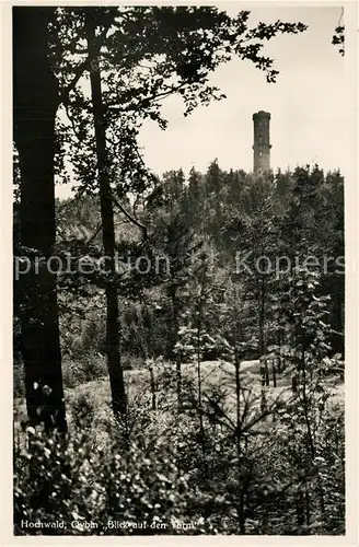 AK / Ansichtskarte Oybin Landschaftspanorama Hochwald Turm Zittauer Gebirge Oybin