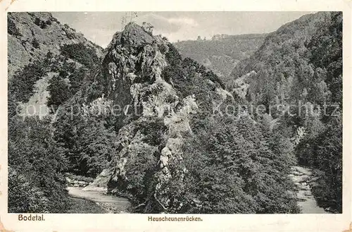 AK / Ansichtskarte Bodetal_Harz Landschaftspanorama Heuscheunenruecken Bodetal Harz