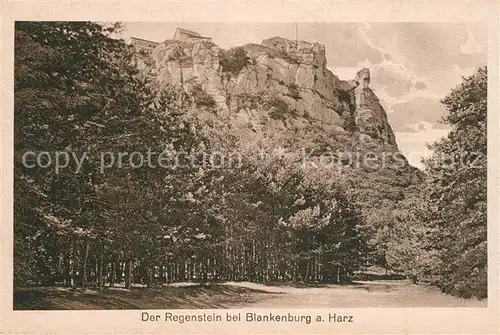 AK / Ansichtskarte Blankenburg_Harz Ruine Felsenburg Burg Regenstein Blankenburg_Harz