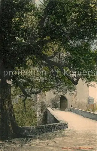 AK / Ansichtskarte Rochlitz_Sachsen Eingang zum Schloss handkolorierte Kuenstlerkarte Rochlitz Sachsen