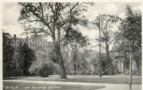 AK / Ansichtskarte Erfurt Bruehler Garten Erfurt