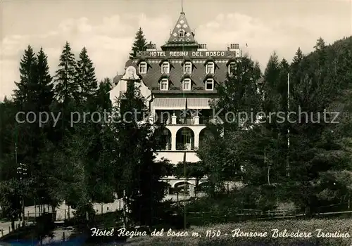 AK / Ansichtskarte Trentino Hotel Regina del Bosco Trentino