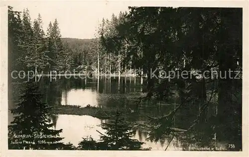 AK / Ansichtskarte Susice Jezero Plesne Susice