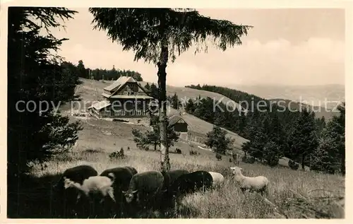 AK / Ansichtskarte Jauernig_Tschechien Neu Traubendorf Berghotel Portasch Jauernig Tschechien
