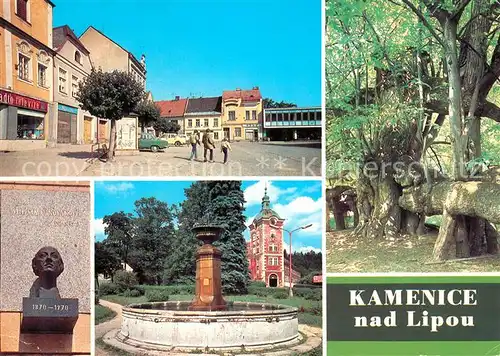 AK / Ansichtskarte Kamenici_nad_Lipou Brunnen Baeume Denkmal Kamenici_nad_Lipou