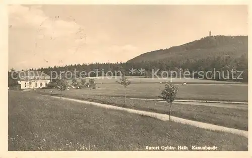 AK / Ansichtskarte Hain_Oybin Landschaftspanorama mit Kammbaude Zittauer Gebirge Hain_Oybin