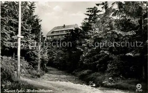 AK / Ansichtskarte Oybin Hochwaldbauden Partie im Wald Zittauer Gebirge Oybin