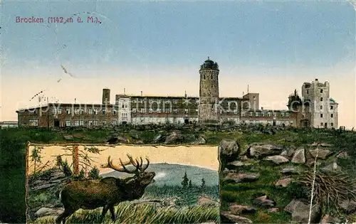 AK / Ansichtskarte Brocken_Harz Berghotel Gaststaette Aussichtsturm Hirsch Kuenstlerkarte Brocken Harz