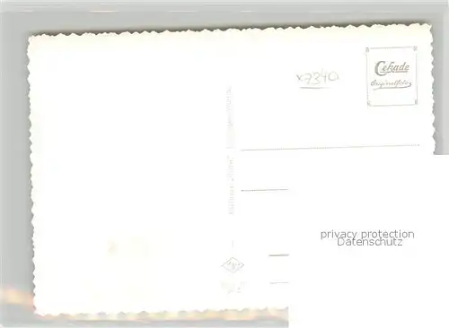 AK / Ansichtskarte Geislingen_Steige Panorama Geislingen_Steige